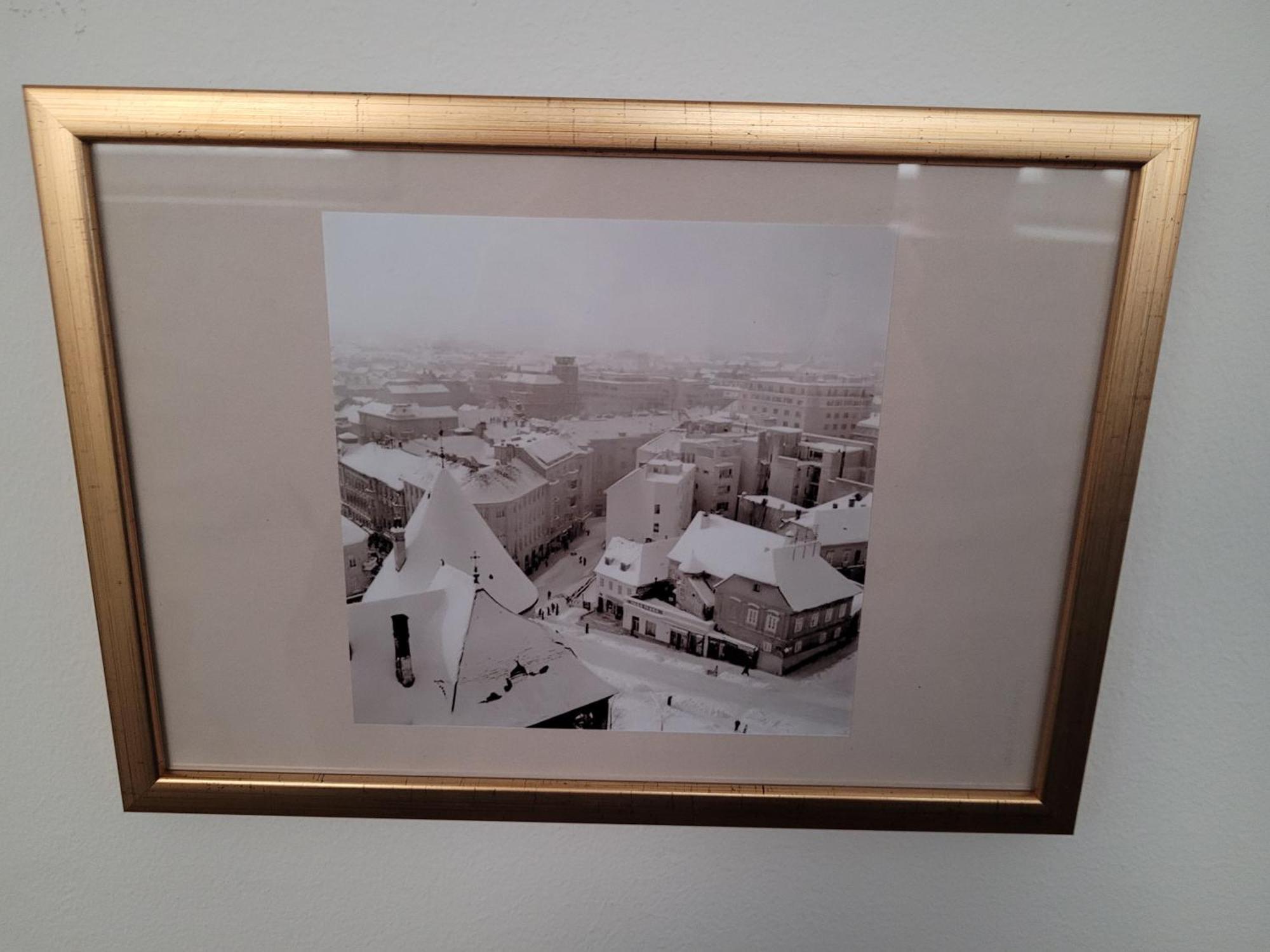 Hellozagreb Appartamento Zagabria